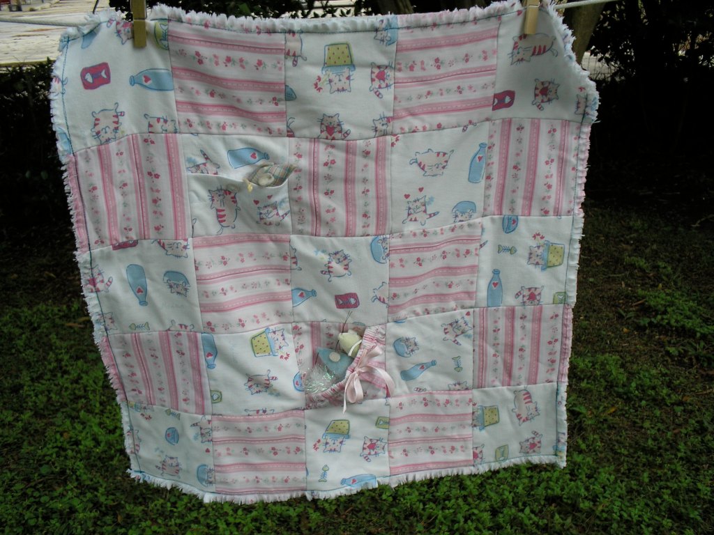 front of flannel cat quilt